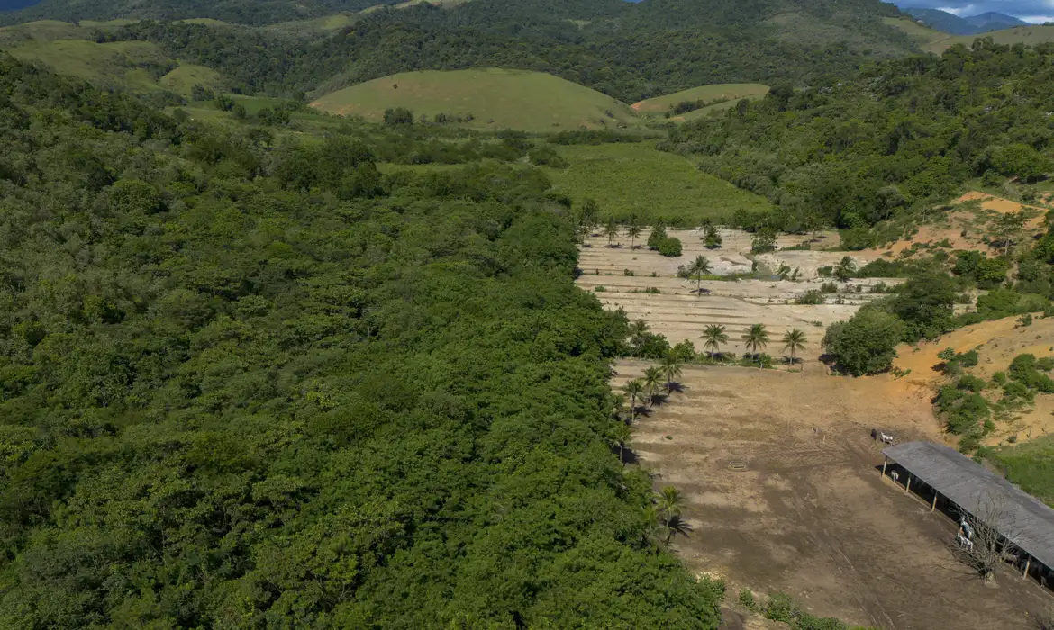 Cachoeiras de Macacu (RJ) 25/11/2024 - Vista de antiga área de pasto, à esquerda, reflorestada pelo Projeto Guapiaçu na Fazenda Vital Brazil para restauração da Mata Atlântica. Foto: Fernando Frazão/Agência Brasil