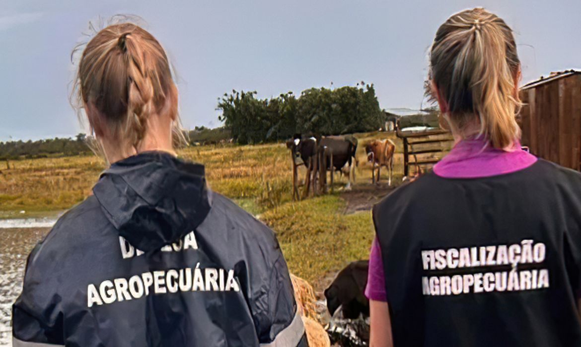 MG confirma gripe aviria em pssaro silvestre, diz vice-governador