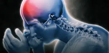 Figura humana em 3D com região do crânio destacada em vermelho