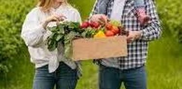 Fundação apresenta programas operacionais que  ajudam  a desenvolver e manter a agricultura familiar