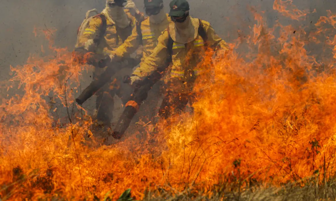 Cavalcante (GO) 15/09/2023 – A brigada de incêndio da Prevfogo composta com membros da comunidade quilombola Kalunga, durante simulação de combate ao fogo no cerrado no Engenho II
Foto: Joédson Alves/Agência Brasil