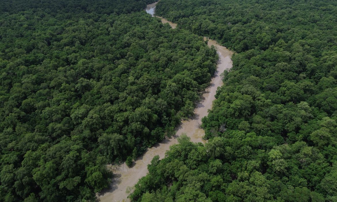 Fernando Frazão/Agência Brasil Bragança (PA), 12/06/2025 – Vista de um braço do Rio Caeté em área de manguezal na Reserva Extrativista Marinha de Caeté-Taperaçu monitorada pelo projeto Mangues da Amazônia. Foto: Fernando Frazão/Agência Brasil