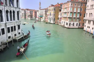 Canais de Veneza mais claros exibem cardumes, caranguejos e planta