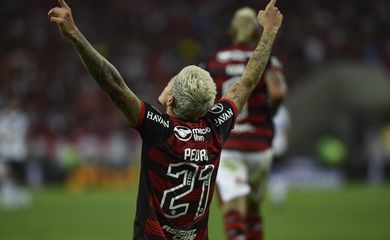 Flamengo, Velez Sarsfield, Copa Libertadores