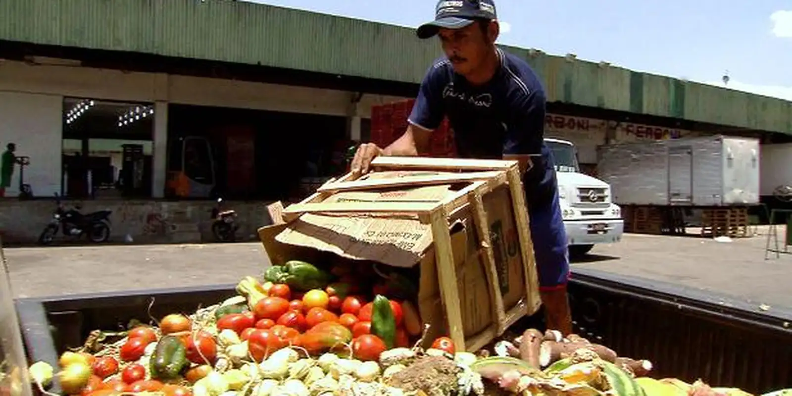 CCJ Do Senado Aprova Projeto Que Combate Desperdício De Alimentos ...