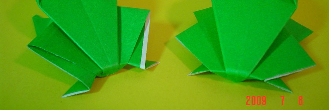 Sapo de origami