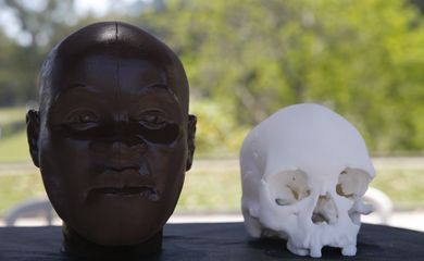 Réplicas do rosto e crânio de Luzia, o fóssil humano mais antigo encontrado na América, impressos em 3D, estão expostos no festival Museu Nacional Vive, na Quinta da Boa Vista, no Rio de Janeiro.