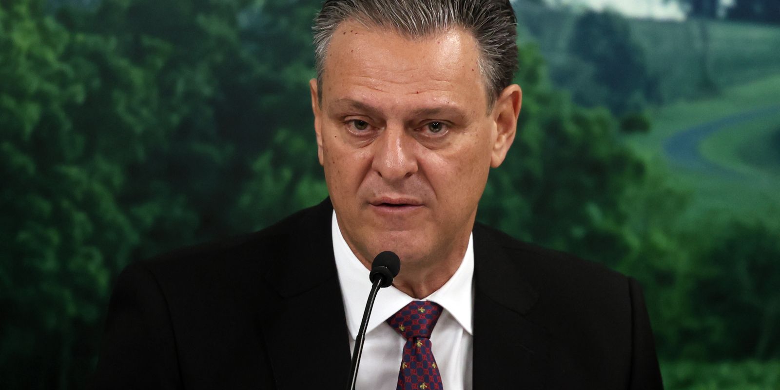 Combate à gripe aviária mostra eficiência do Brasil, diz ministro Combate à gripe aviária mostra eficiência do Brasil, diz ministro