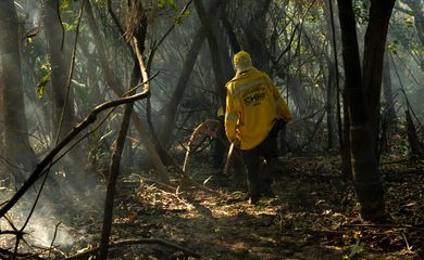 Amazônia-11/12/2024 Amazônia tem o maior número de queimadas e incêndios em 17 anos. (Brigadistas combatem fogo no Pará. André Noboa). Foto:  Agência Santarém.