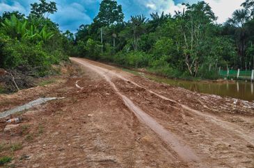 10/08/2023, Ambientalistas denunciam desmatamento s margens de rodovia amaznica. Foto: Cristie Sics