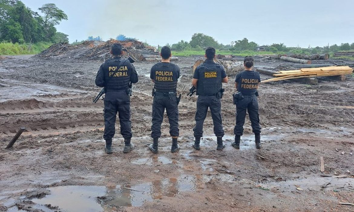Polícia Federal e Ibama apreendem madeira ilegal no Pará