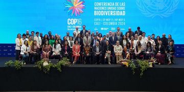 COP não é única conferência do sistema das Nações Unidas