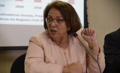 A ministra Ideli fala sobre o Sistema Nacional de Informações de Registro Civil - SIRC, que captará informações de registros civis de nascimento e os armazenará em uma base de dados (Valter Campanato/Agência Brasil)