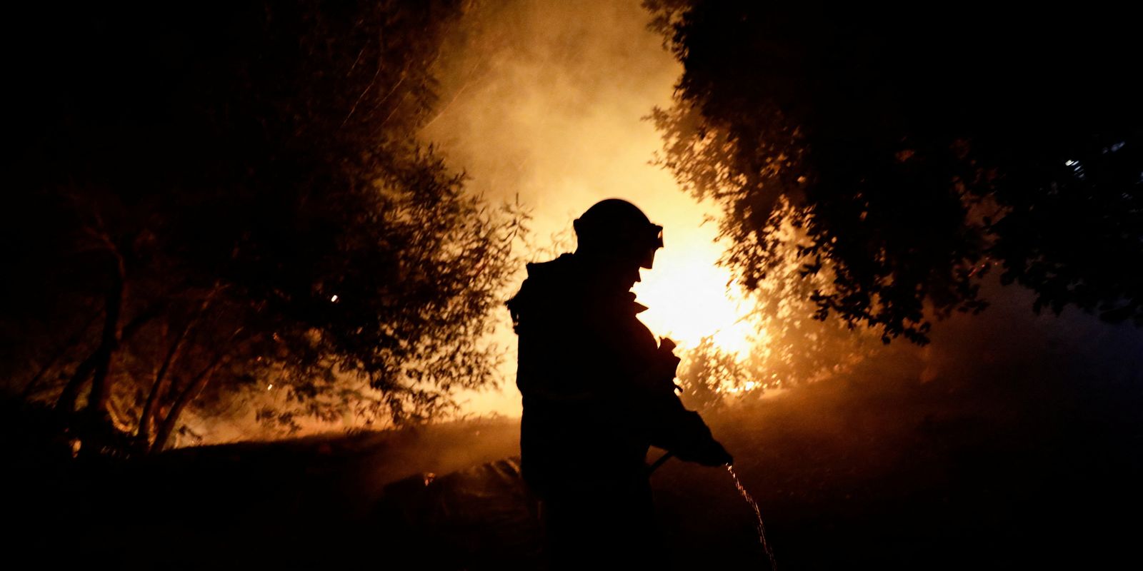 Los incendios forestales en Chile se están extendiendo, destruyendo cientos de hogares