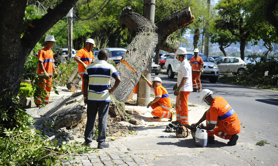 O vento forte provocou queda de árvores na avenida Epitácio Pessoa, zona sul da capital fluminense (Tomaz Silva/Agência Brasil)