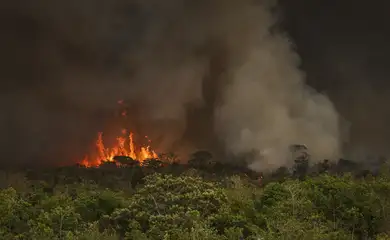 Brasília (DF), 16/09/2024 - Grandes focos de incêndio atingem áreas do Parque Nacional de Brasília. Foto: Marcelo Camargo/Agência Brasil