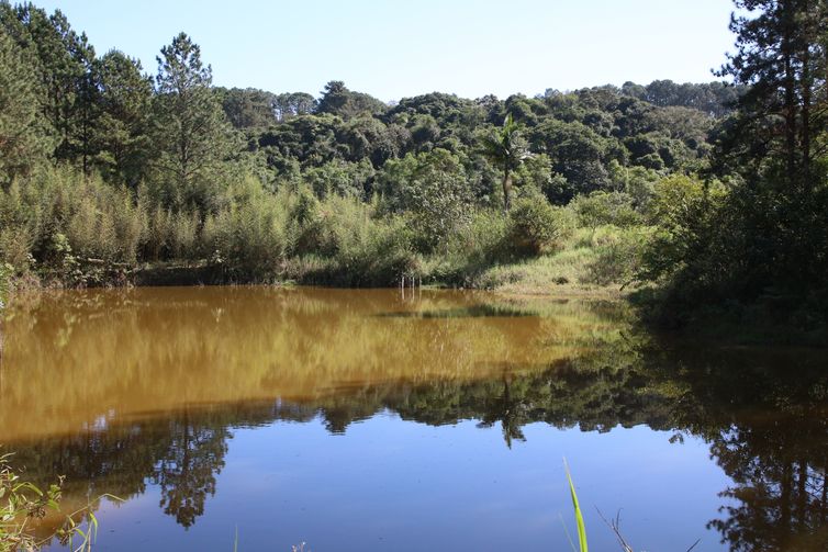 Lago do Parque Natural Municipal Varginha, no bairro Chácara Santo Amaro.