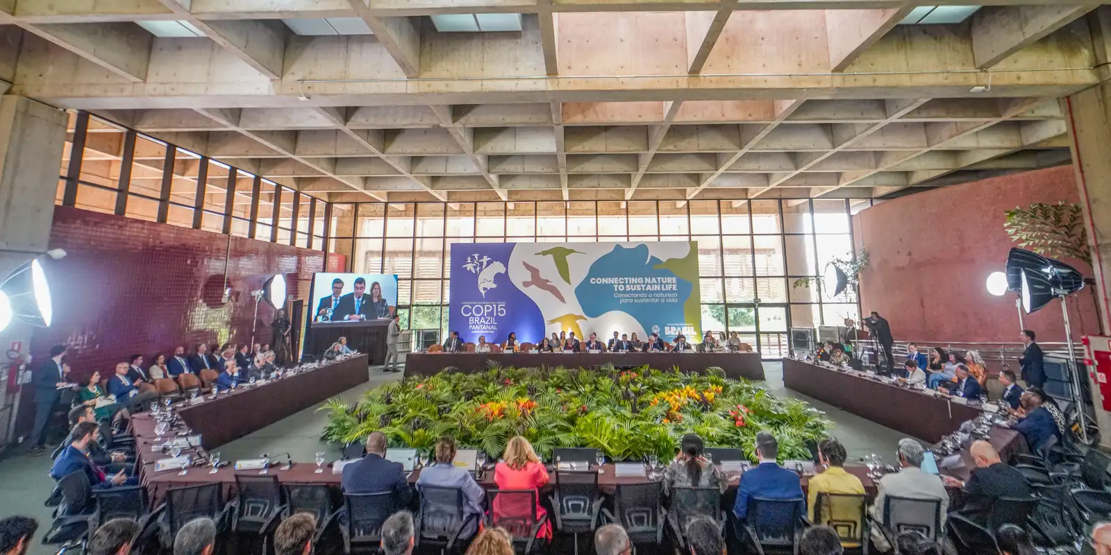 COP15: Marina Silva highlights climate impact on biodiversity