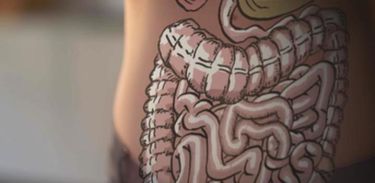 Microrganismos presentes no intestino influenciam nosso humor