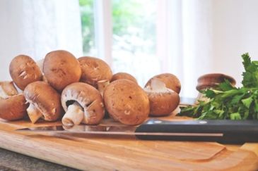 O cogumelo é rico em proteína, vitaminas e fibras e é usado em receitas para substituir a carne 