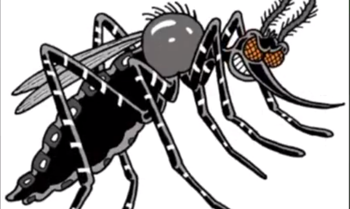 Estudantes do Instituto Federal de Goiás produziram um vídeo em cordel com orientações sobre o combate ao Aedes aegypti