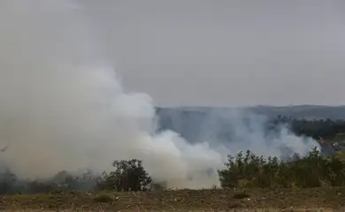 São Paulo (SP) 24/08/2024 - Foco de incêndio próximo a rodovia presidente Castelo Branco, o governo de São Paulo cria gabinete de crise para combate a incêndios
Estradas são interditadas e 30 municípios estão em alerta máximo
Foto: Paulo Pinto/Agência Brasil