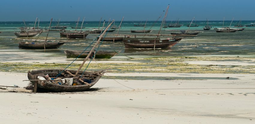 Episódio de estreia de Ilhas Selvagens visita o arquipélago de Zanzibar