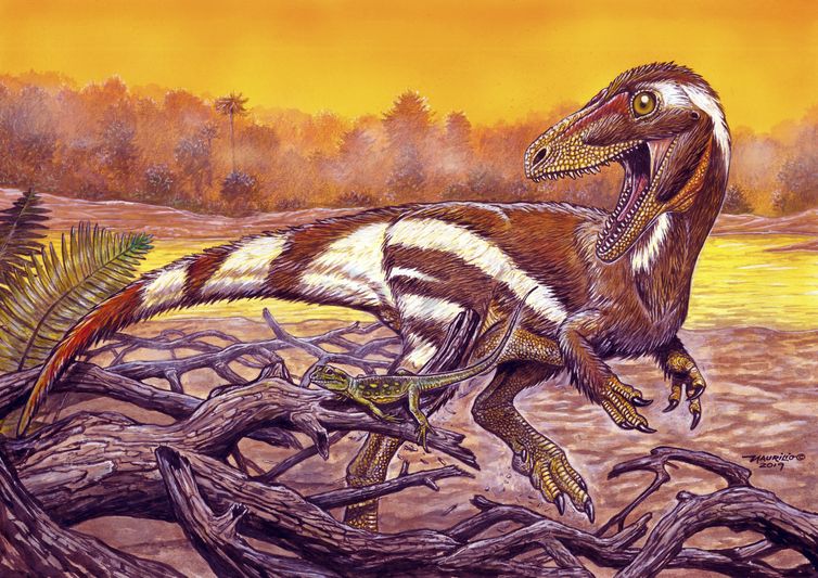 Apresentação da  descoberta de um  novo fóssil de dinossauro: o Aratasaurus museunacionali.