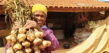 Oito famílias de agricultores da comunidade quilombo Quaresma realizaram, pela primeira vez, uma colheita de alho de cultivares livres de vírus