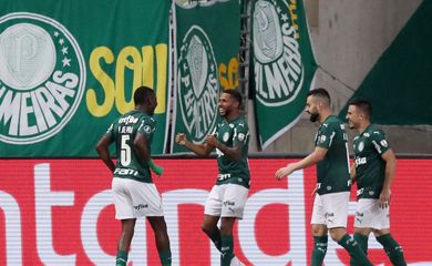 palmeiras, bolívar, libertadores