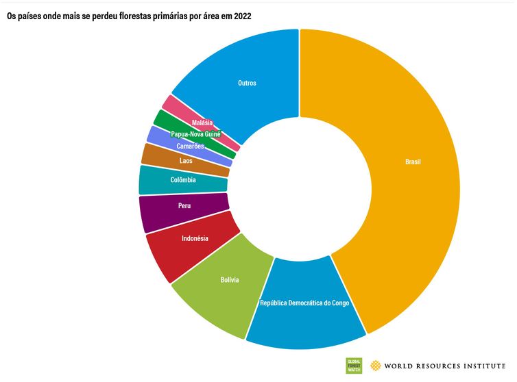 DESMATAMENTO - Tabela com ranking dos países com mais perdas de florestas primárias. Arte: World Resources Institute