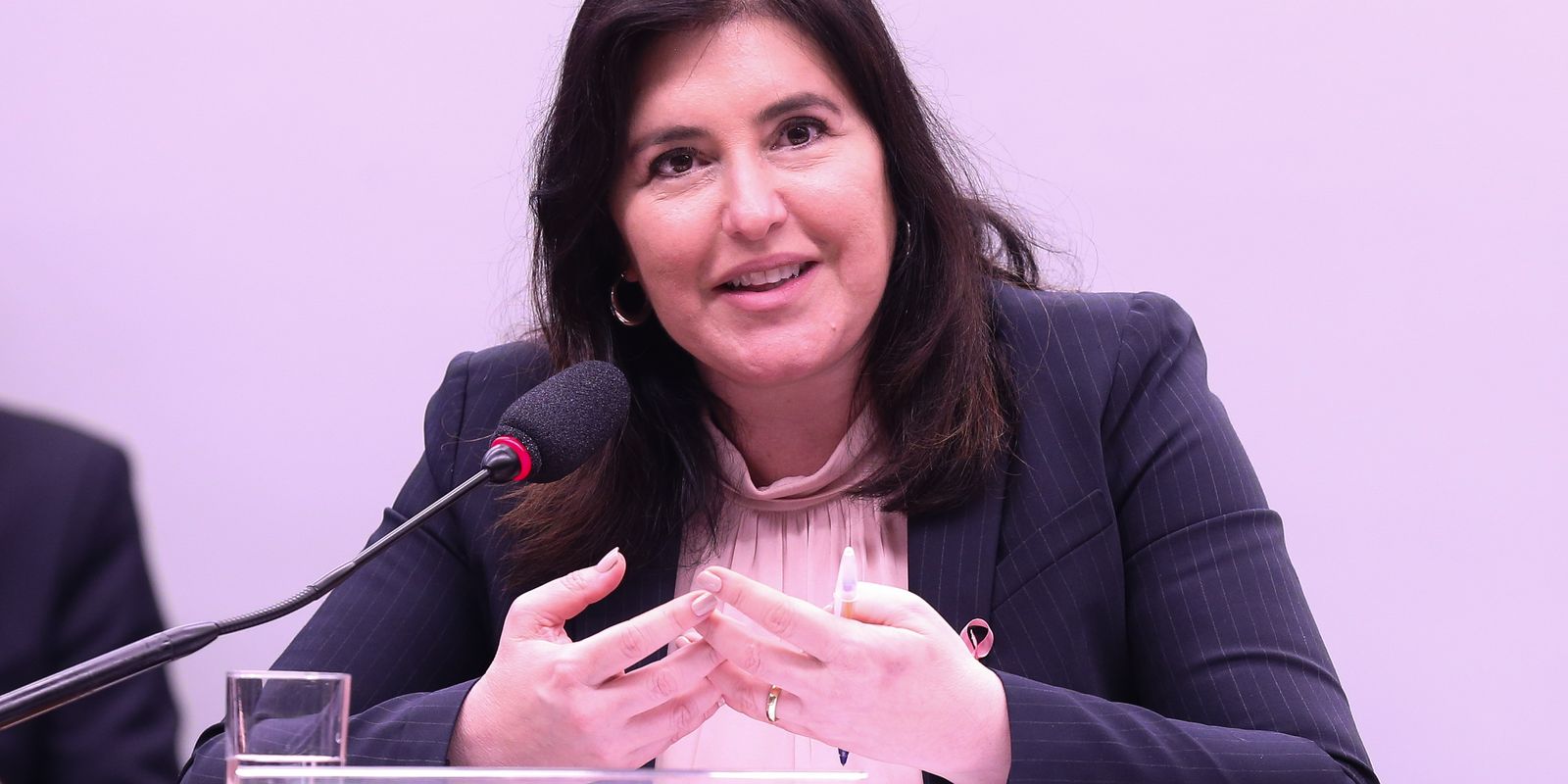 Ministra Simone Tebet apresenta o Plano Plurianual Participativo