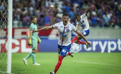 bahia, the strongest, libertadores