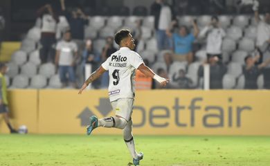 santos, marcos leonardo, copa sul-americana