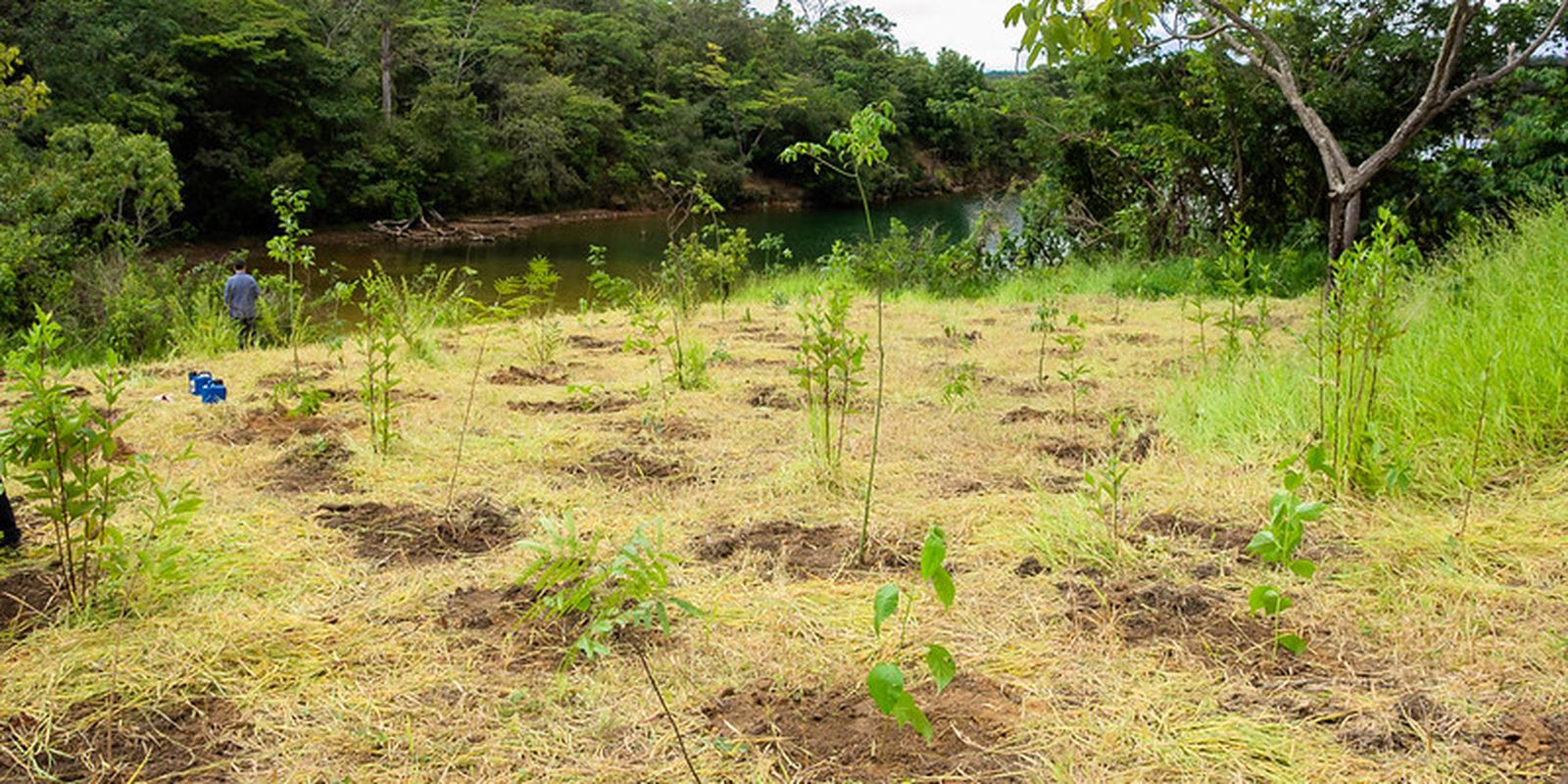 Serrinha do Paranoá é transformada em parque para preservar ecossistemas e promover educação ambiental
