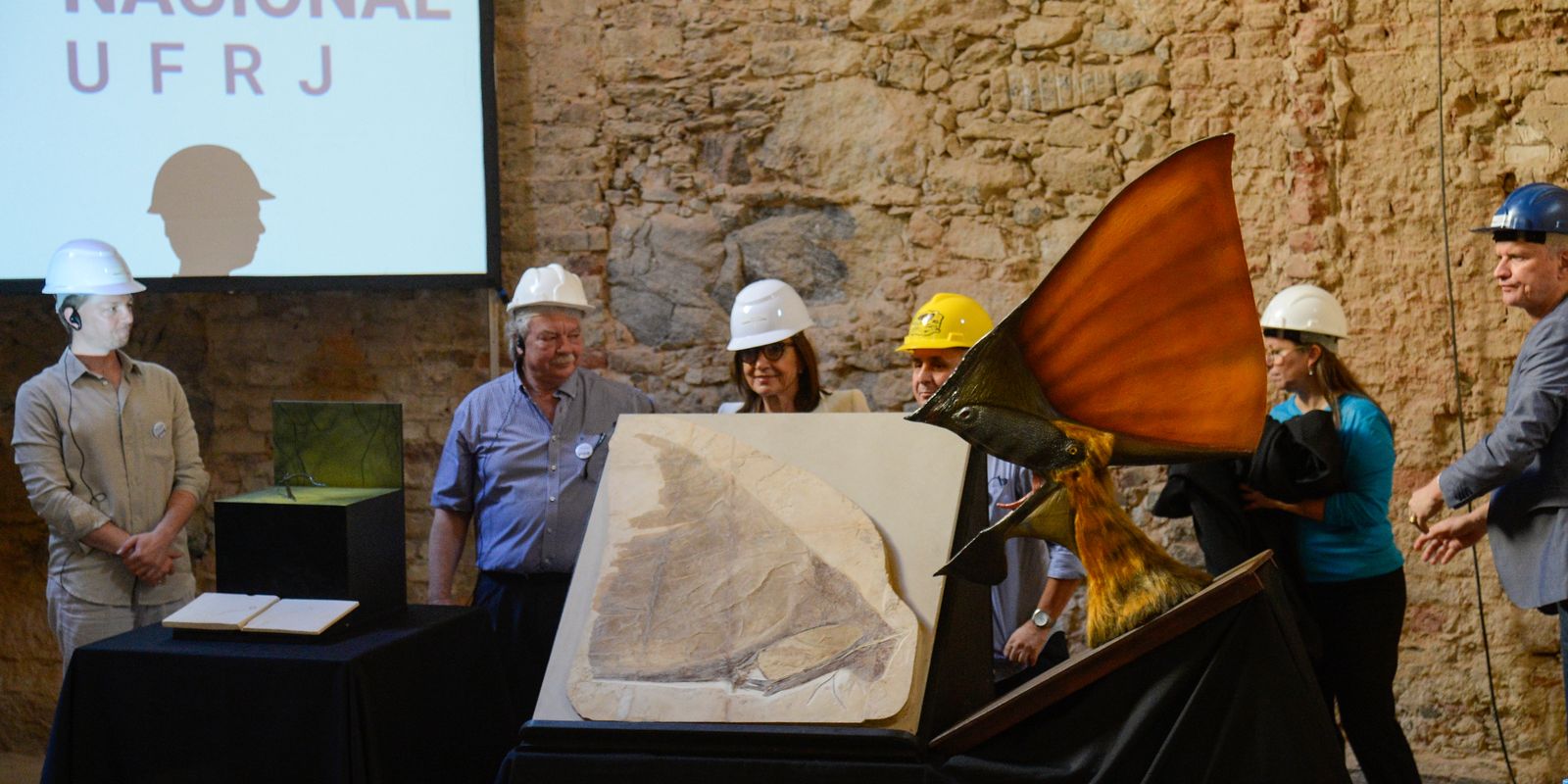 Museu Nacional recebe doação de mais de mil peças