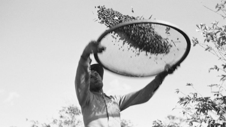 Documentário "Ao Aroma do Café" traça panorama da cultura do café no Brasil