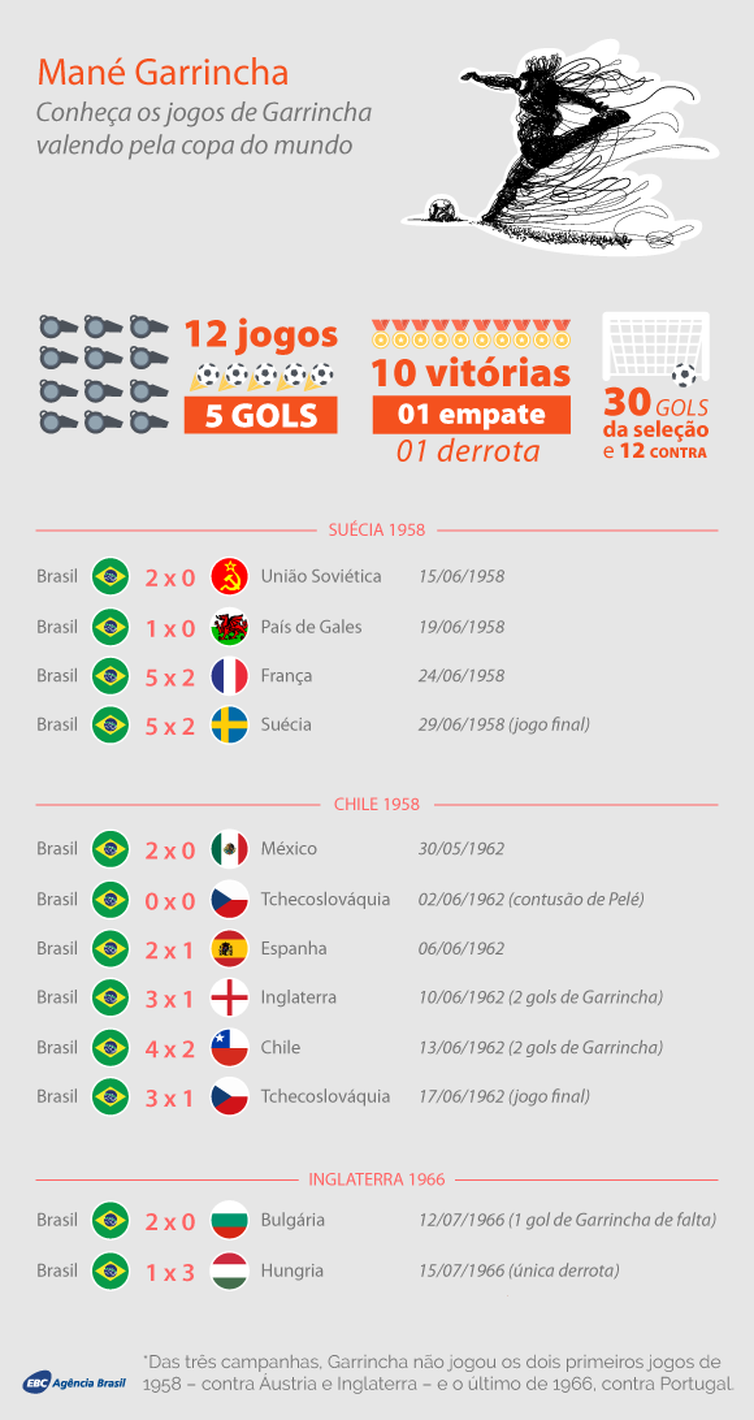 Infográfico Mané Garrincha