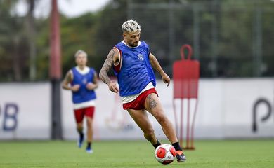 flamengo, treino, arrascaeta