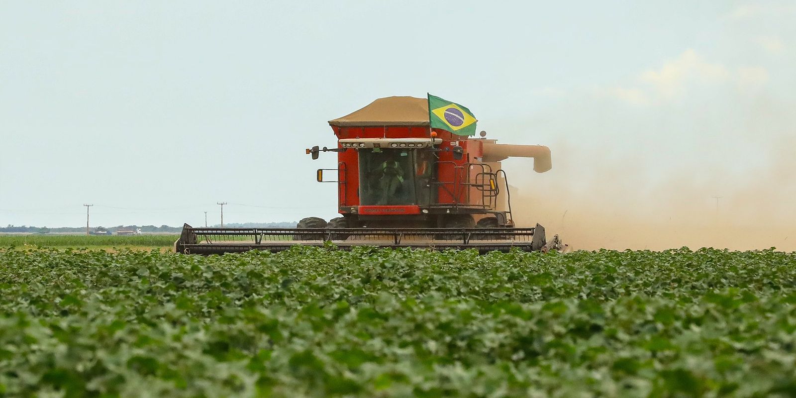 Agronegócio ainda está longe da agenda ambiental, diz estudo Agronegócio ainda está longe da agenda ambiental, diz estudo