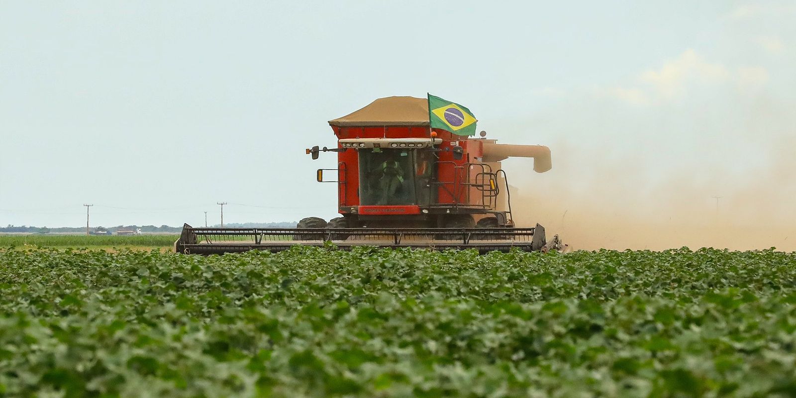 Agronegócio ainda está longe da agenda ambiental, diz estudo