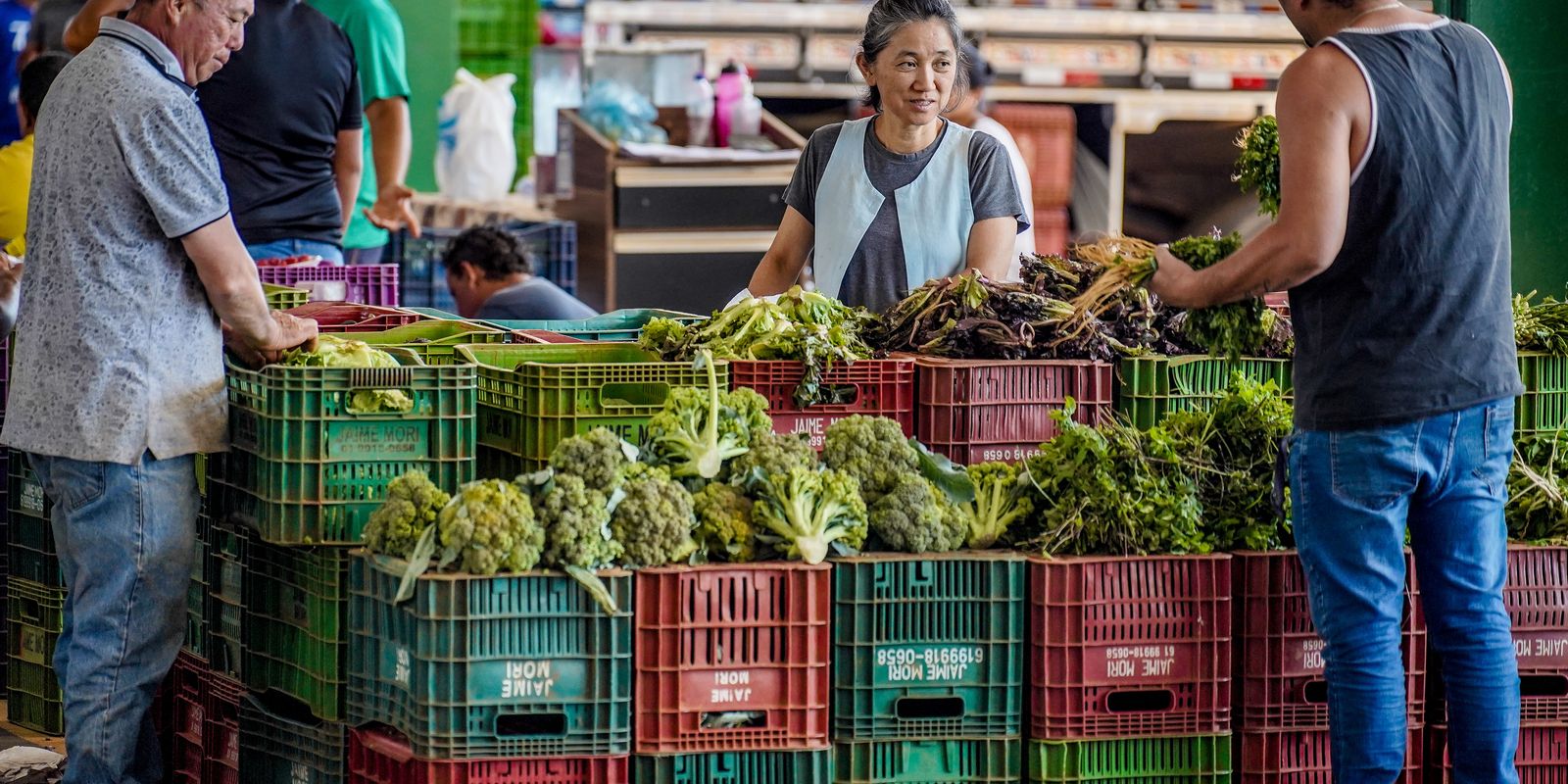 Anvisa inicia monitoramento de resíduos de agrotóxicos em alimentos Anvisa inicia monitoramento de resíduos de agrotóxicos em alimentos