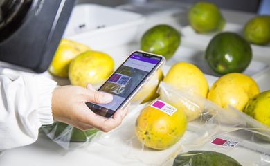 Pesquisadores da Embrapa desenvolvem sensor que avalia grau de maturação de frutas