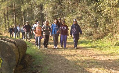 Estudante têm aula na Floresta Nacional de Canela