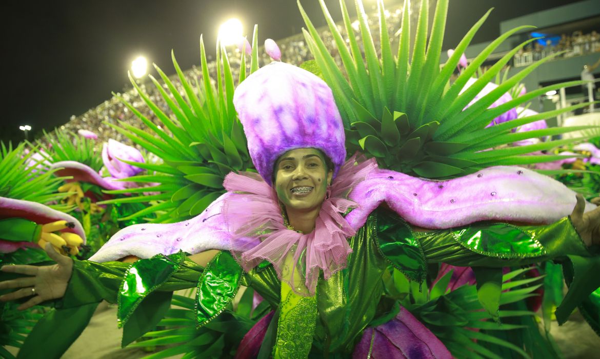 Desfile da Beija-Flor de Nilópolis no Carnaval 2019 no Rio de Janeiro