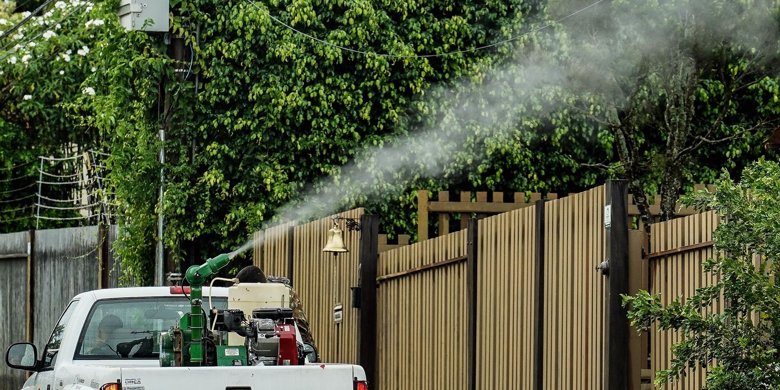 Rio de Janeiro confirma segunda morte por dengue