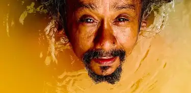 Álbum "Fofo", de Chico César 