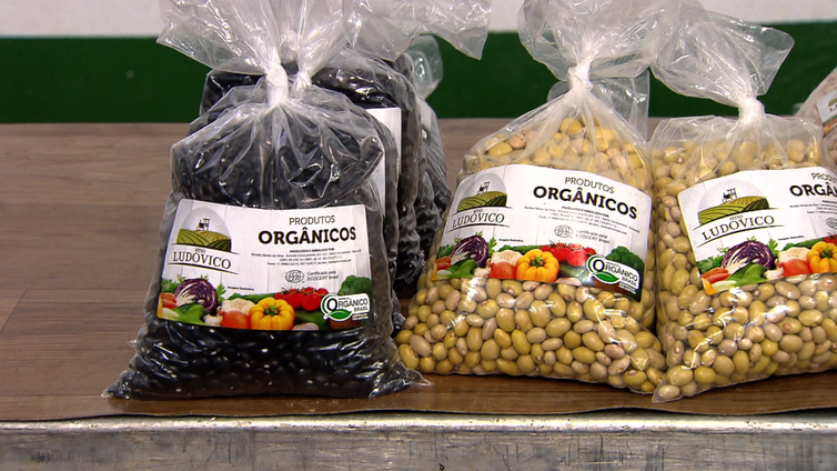 Agro Nacional mostra como a feira do Parque da Água Branca tornou-se referência na produção de alimentos orgânicos