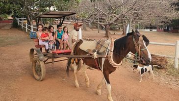 Passeio de charrete no Rancho Canabrava