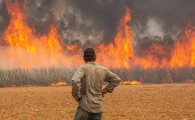 A man watches a fire in a sugar cane plantation near Dumon city, Brazil, August 24, 2024. REUTERS/Joel Silva